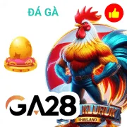 Partner Logo